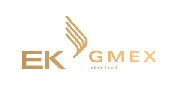 This is the visual identity if GMEX